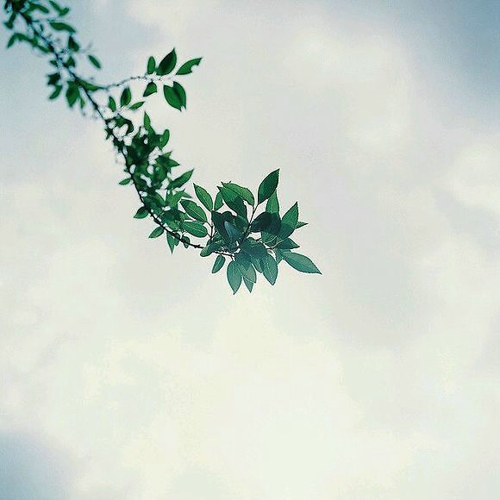 有泪，自己流，有苦，自己受…送给每一个人
