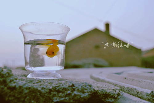 不属于我的雨伞，我宁愿淋雨走路！